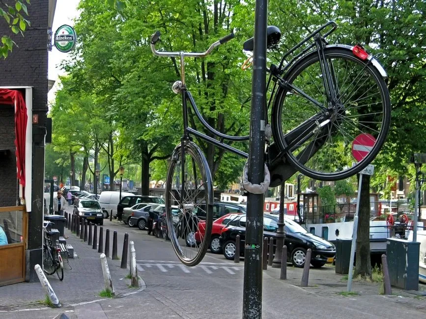 A bicycle locked to a street pole on an Amsterdam canal street lined with parked cars and trees