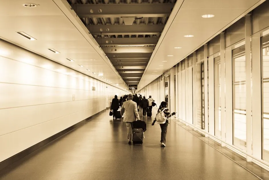 Travelers with rolling suitcases walking through a long airport arrivals corridor