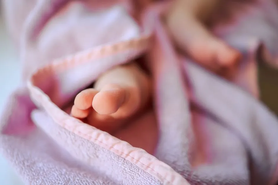 Close-up of a newborn baby's bare feet wrapped in a soft pink blanket
