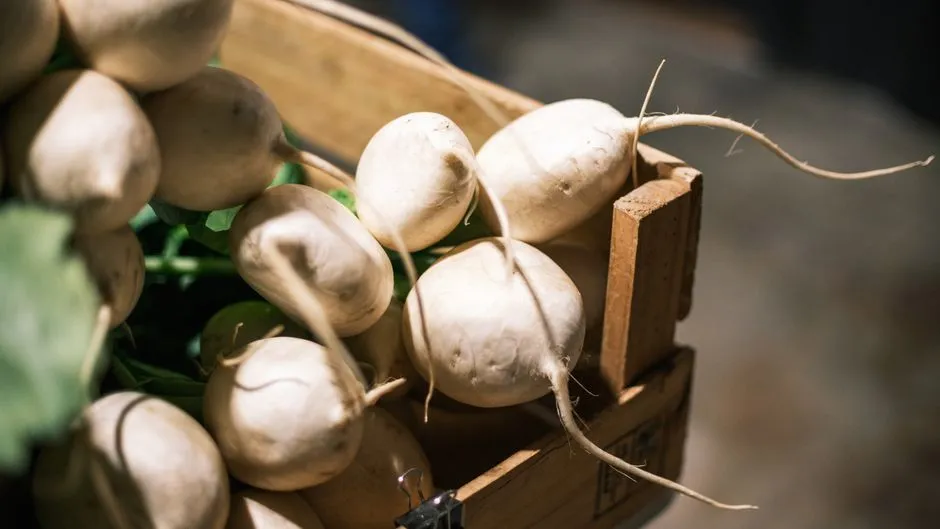 Close-up of fresh white radishes with green leaves and long roots piled in a wooden crate, no people, logos, or readable text visible