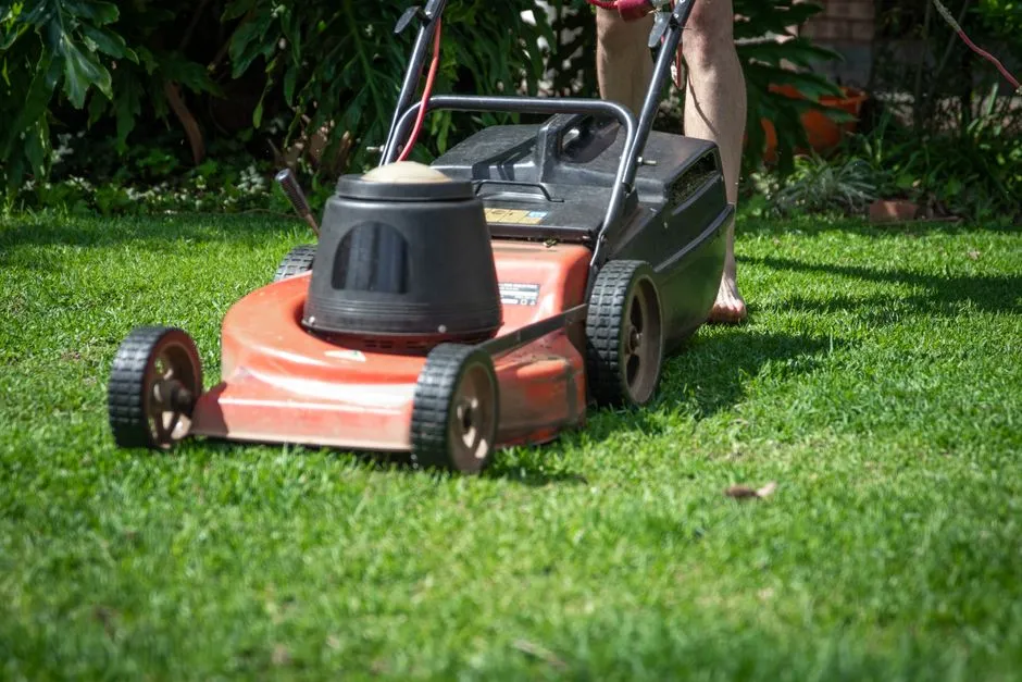 A push lawnmower parked on freshly cut grass with someone's legs visible behind the handle, no face in view