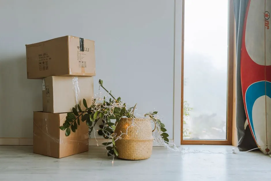 A stack of taped cardboard moving boxes beside a potted plant in a woven basket, in a bright, mostly empty room