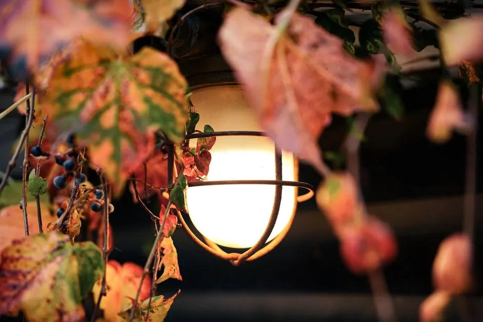 A warm electric lantern glowing softly behind autumn leaves and vines at dusk, deep orange and muted green tones, no people, logos, or readable text visible