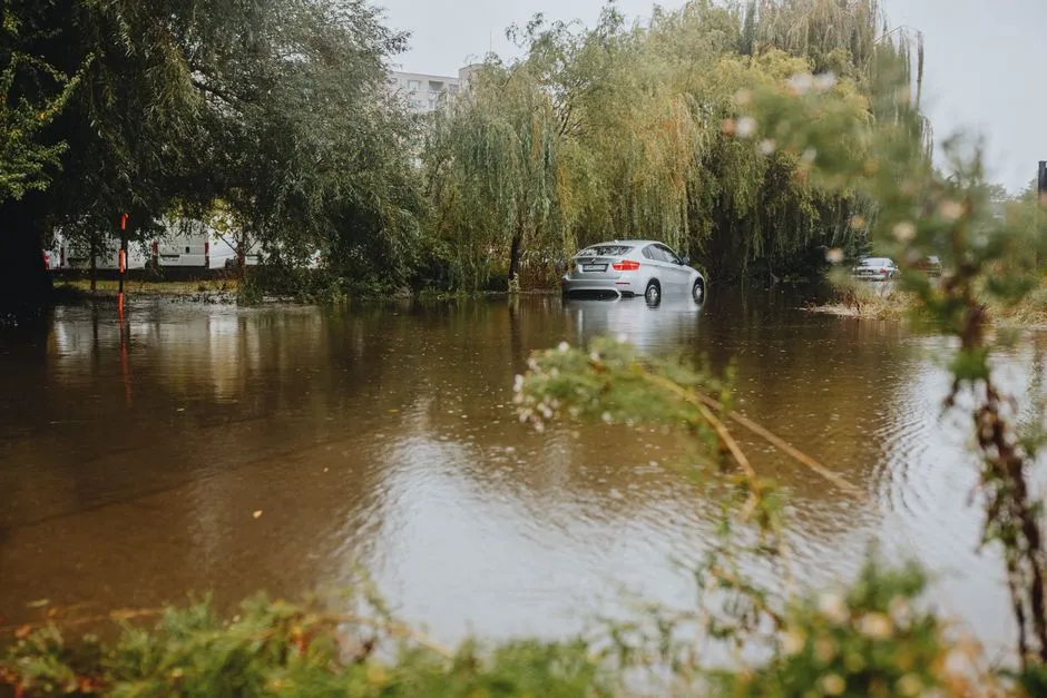 A car navigating a flooded residential street lined with trees after heavy rain