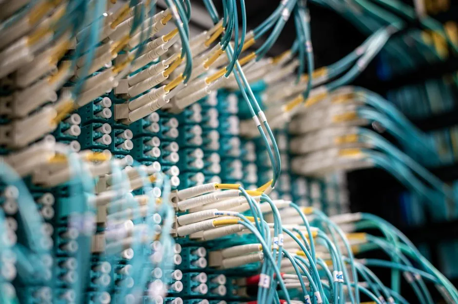 Rows of fiber optic cables connected in a network distribution panel